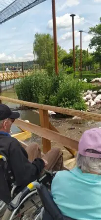 IMG-20250716-WA0032-708x1536