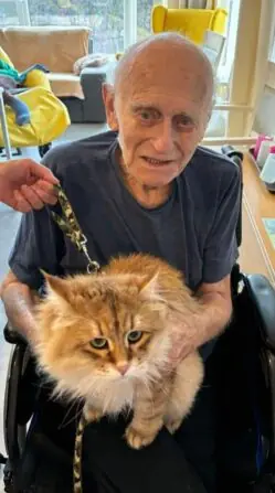 Canisterapie a felinoterapie v Senevida Hradec Králové