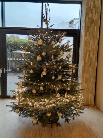 IMG_20241204_154003-1152x1536