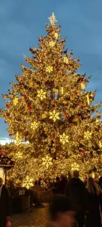 IMG_20241219_161653813_HDR-691x1536