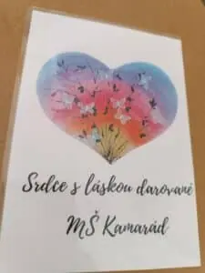 IMG_20250304_102412-225x300