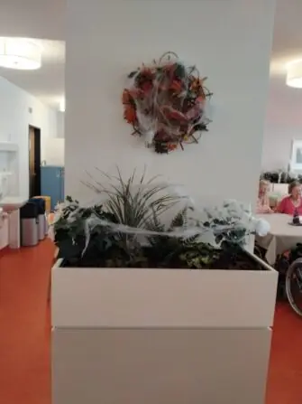 IMG_20250429_141508-1152x1536