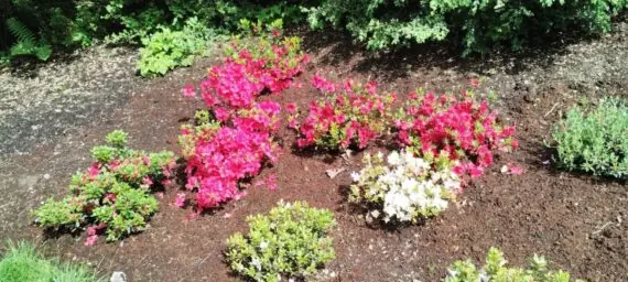 IMG_20250527_152450127-1536x691