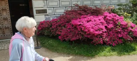 IMG_20250527_152707169_HDR-1536x691