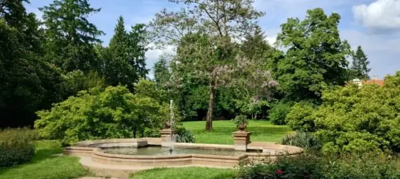 IMG_20250527_152915251_HDR-1536x691