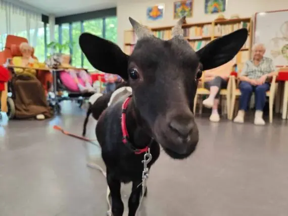 IMG_20250610_101111-1536x1152