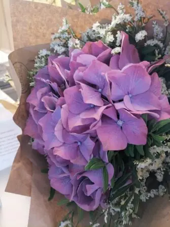 IMG_20250617_124359-1152x1536