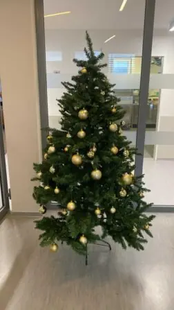 Messenger_creation_3D454585-AD03-4A71-8872-DA0E8C9CD860