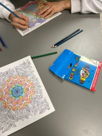 WhatsApp Image 2026-01-29 at 15.23.41 (1)