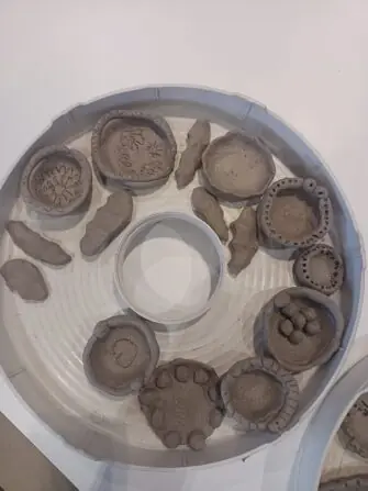 WhatsApp Image 2026-02-04 at 11.22.41