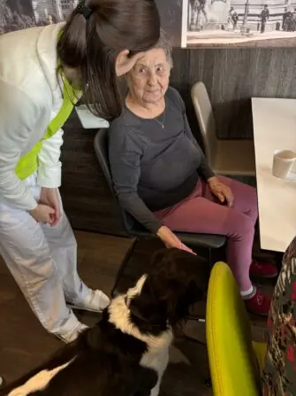 WhatsApp Image 2026-02-17 at 1