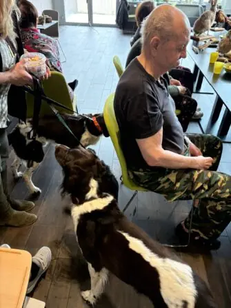 WhatsApp Image 2026-02-17 at 2