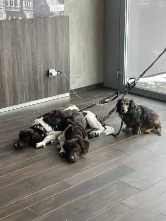 WhatsApp Image 2026-02-17 at 23