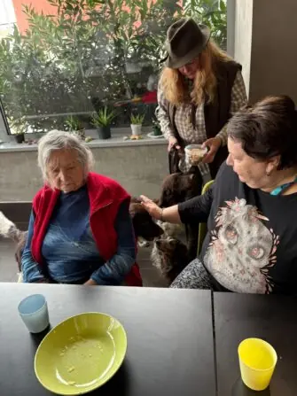 WhatsApp Image 2026-02-17 at 4