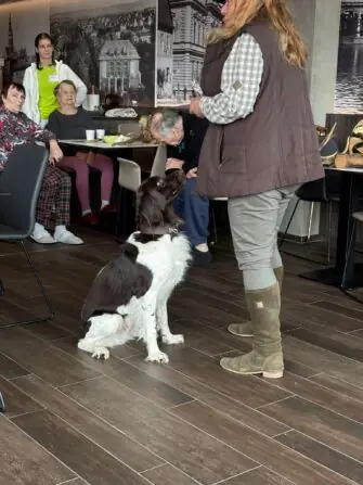 WhatsApp Image 2026-02-17 at 5