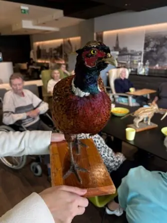 WhatsApp Image 2026-02-17 at 8