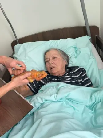 WhatsApp Image 2026-02-20 at 14.44.01 (2)