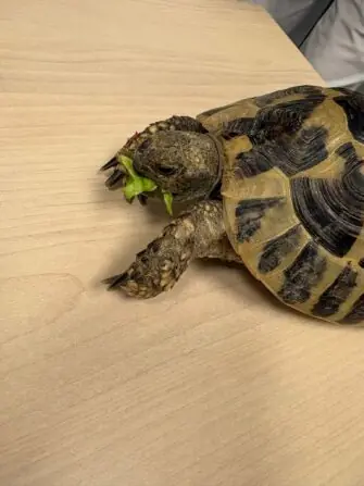 WhatsApp Image 2026-02-21 at 17.18.36