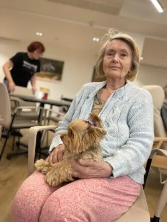 a6ba1887-ba09-4db4-a0c7-b2562a57cf75