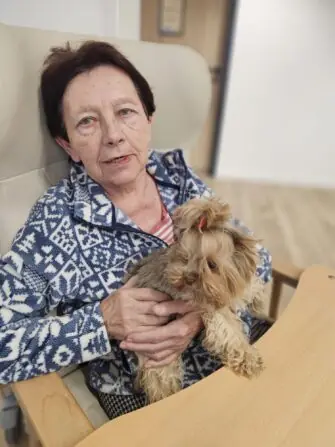 c2d1a4a0-401d-46c1-96cd-0017d19e54fa