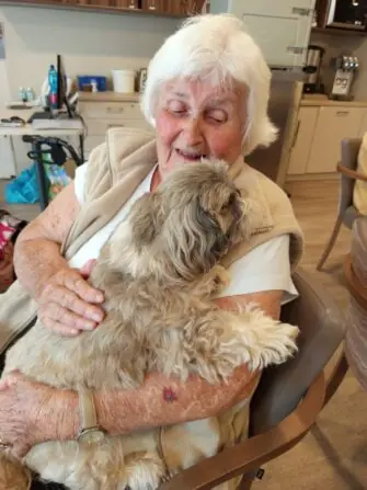 canisterapie-1152x1536