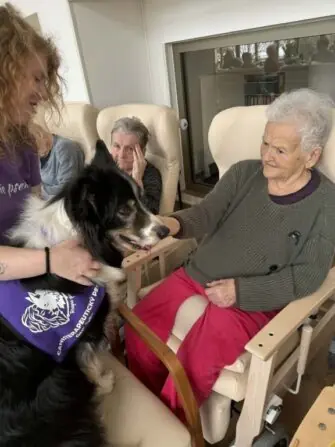 canisterapie filipov (13)