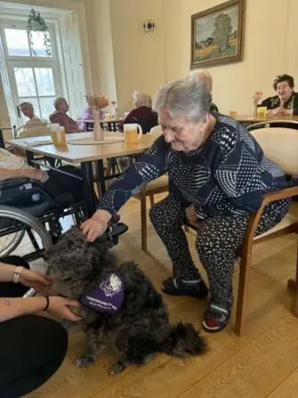 canisterapie filipov (14)