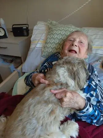 canisterapie-p.-Viktorova-1152x1536