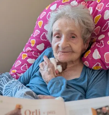 f5055839-f938-4557-b0e4-ce0ef2de8484