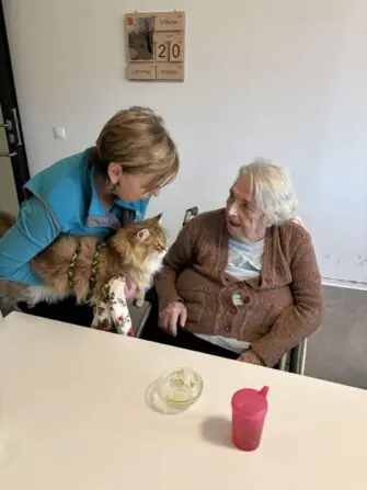 received_537585619090233-1152x1536