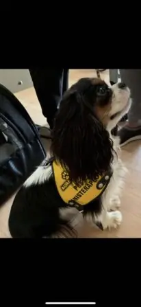 received_8885194381503064-709x1536