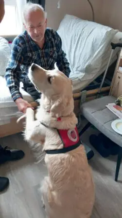 0945543b-9f0c-4ff1-9aee-0ba68825de2d