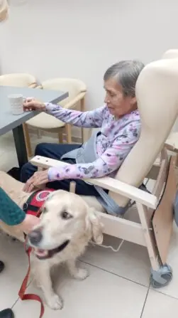 15ab5670-d585-4a71-88cc-3058504d9ef0