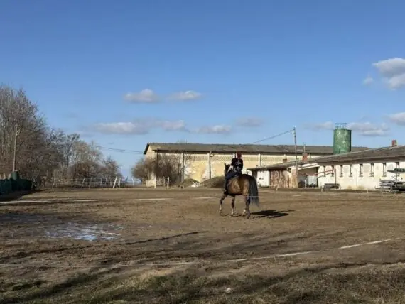 2026 03 procházka ke koním (10)