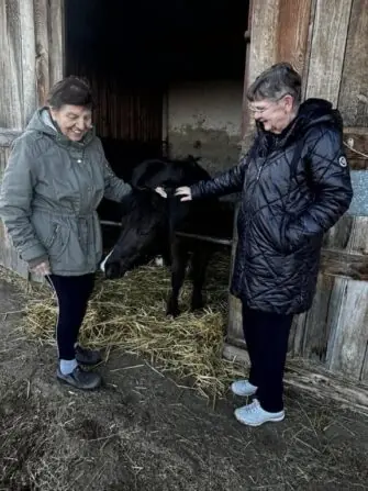 2026 03 procházka ke koním (5)