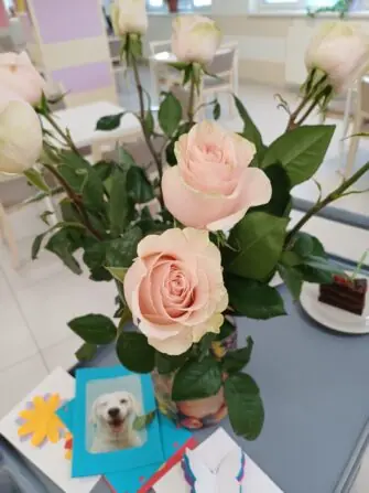 20260227_100053 - kopie