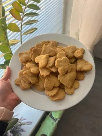 328fbadc-963e-4660-a2f8-884b0ef972fa