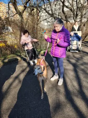 394f238f-7ecc-4806-afc6-45b0b14dbeea