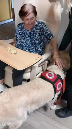 5229fc24-f326-45ef-a0b9-4bc05e34ed7a