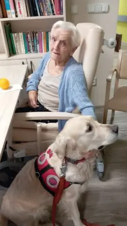 771dce71-4b85-4659-835b-de09081eedc7