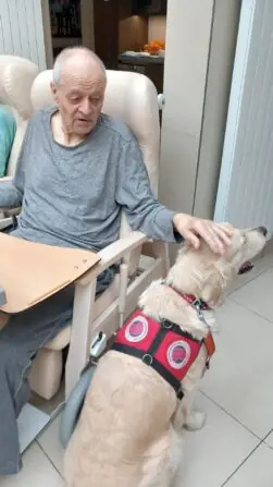 78b6357d-2b1f-4eff-85ce-7562066c464f