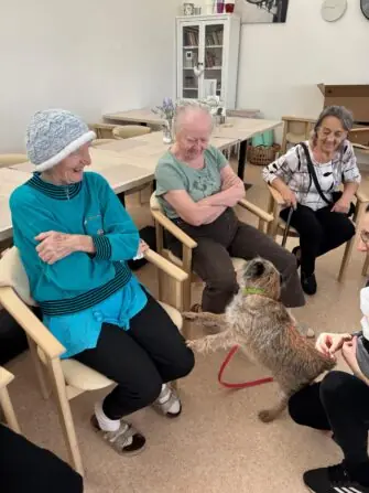 79900743-31f7-4592-a181-e659b854b18a