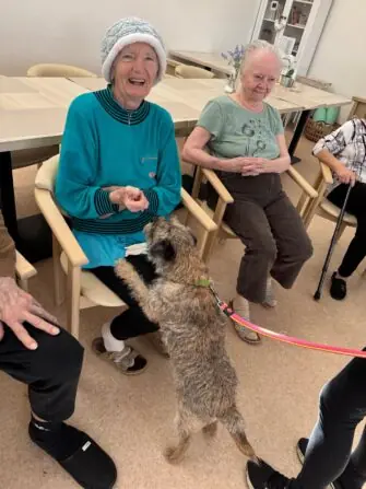 84f26ea2-57f2-4c1a-b967-be06624bfa31