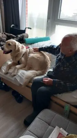 90c9cf12-3e70-4aa5-892d-7469d3989849