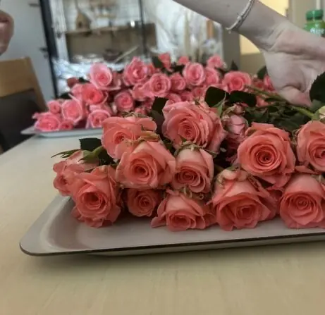 9E5327EB-1DBF-4BBF-A544-F6AAB952710D