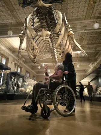 DC Praha - Národní muzeum _foto č 111 _IMG_20260310_154042