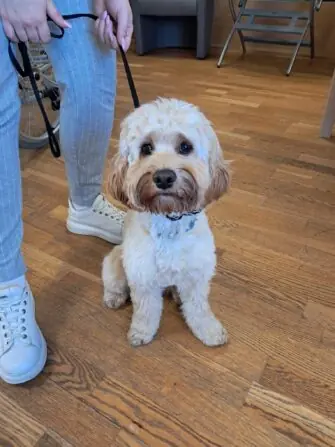 WhatsApp Image 2025-04-04 at 12.43.20