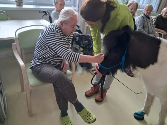 WhatsApp Image 2026-02-26 at 14.58.53