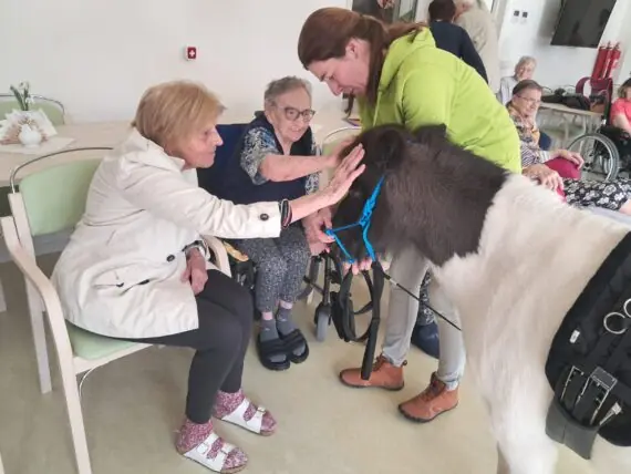 WhatsApp Image 2026-02-26 at 14.59.02