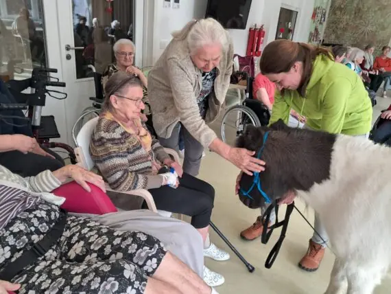 WhatsApp Image 2026-02-26 at 14.59.03 (1)